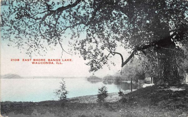 Wauconda Illinois Bangs Lake East Shore Vintage Postcard AA100301