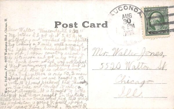 Wauconda Illinois Bangs Lake East Shore Vintage Postcard AA100301 - Image 2