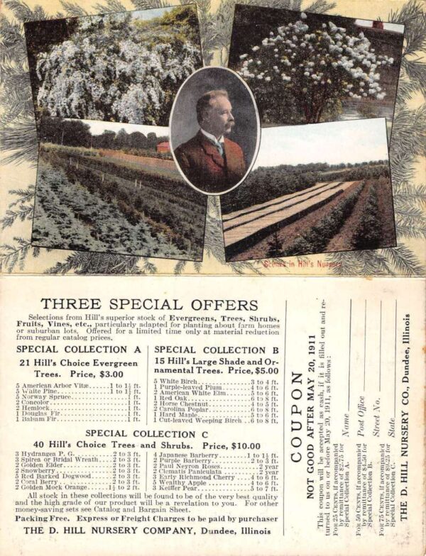 Dundee Illinois Hill Nursery Tree Shrubs Plant Ad Fold out Postcard AA100209