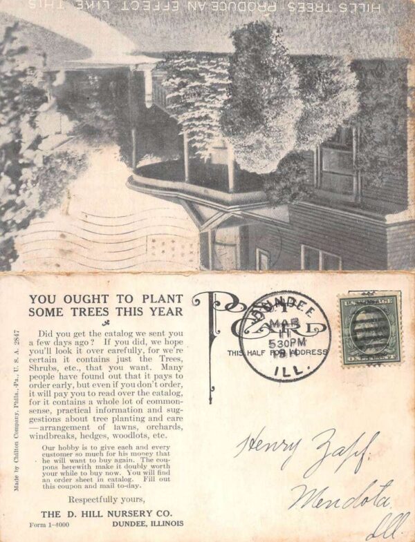 Dundee Illinois Hill Nursery Tree Shrubs Plant Ad Fold out Postcard AA100209 - Image 2