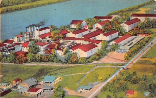 Owensboro Kentucky Glenmore Distilleries Whiskey Making Postcard AA100248