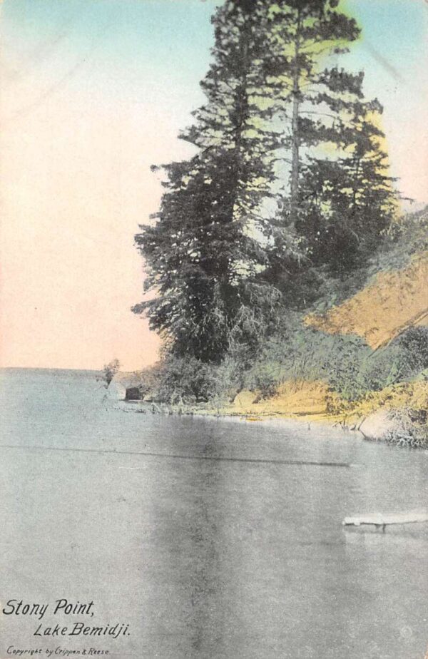 Lake Bemidji Minnesota Stony Point Scenic View Vintage Postcard AA100249