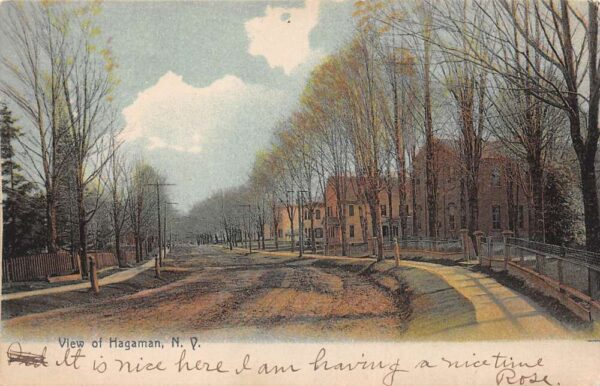 Hagaman New York Street Scene Vintage Postcard AA100499