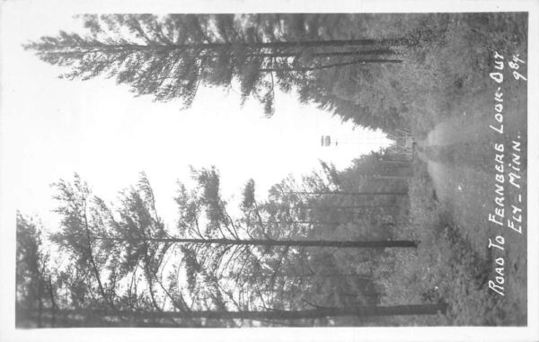 Ely Minnesota Road to Fernberg Look Out Real Photo Vintage Postcard AA100597
