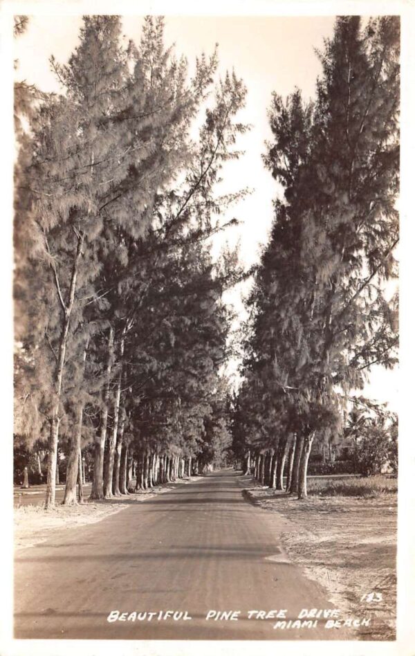 Miami Beach Florida Pine Tree Drive Real Photo Vintage Postcard AA100621