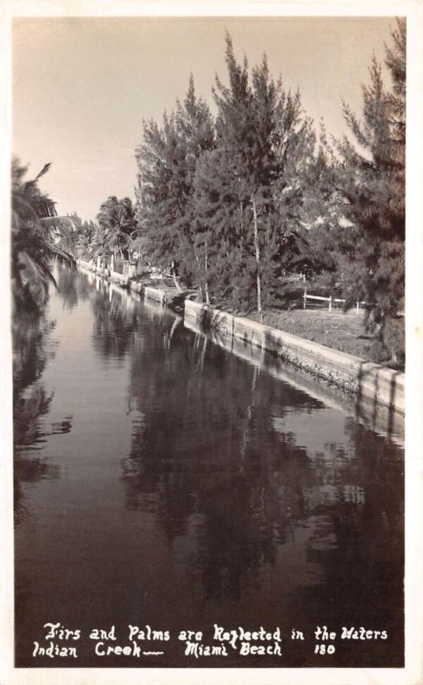 Miami Beach Florida Indian Creek Firs and Palms Real Photo Postcard AA100622