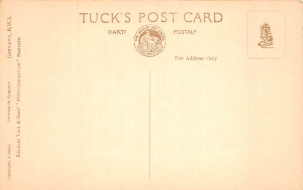 St Georges Grenada Caribbean Market Birds Eye View Tuck Postcard AA100637 - Image 2