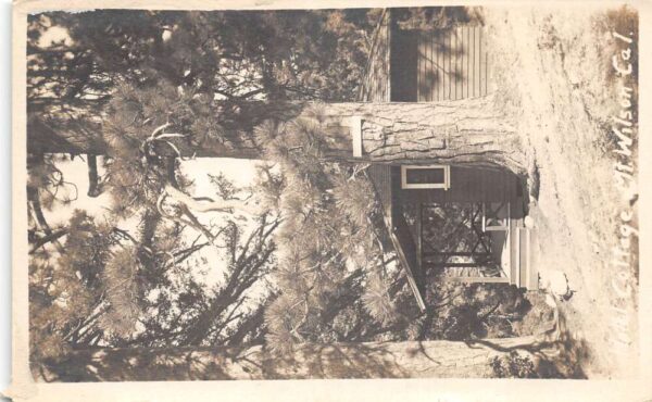 Mount Wilson California Hotel Cottage Real Photo Vintage Postcard AA100648
