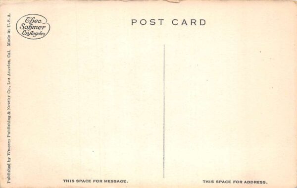Venice California Ocean Front Racing Derby Vintage Postcard AA100649 - Image 2