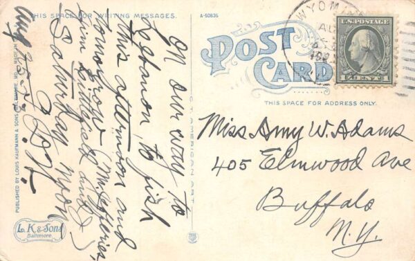 Dover Delaware Lockerman St., 5 & 10 Cent Store, Vintage Postcard U22900 - Image 2