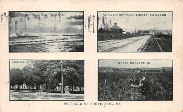 North East Pennsylvania Notable Places In Town, B/W Lithograph, Postcard U22920