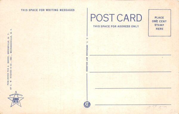 Norton Hill New York Main Street, White Border, Vintage Postcard U23001 - Image 2