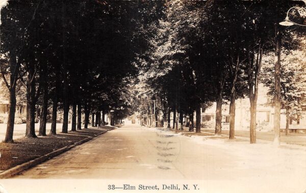 Delhi New York Elm Street, Real Photo, Vintage Postcard U23003