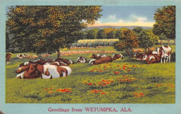 Wetumpka Alabama "Greetings From Wetumpka", Cows, Linen Vintage Postcard U23043