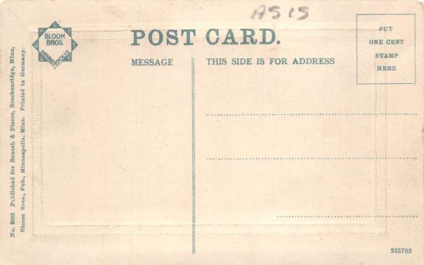 Breckenridge Minnesota Birds Eye View Real Photo Vintage Postcard AA100694 - Image 2