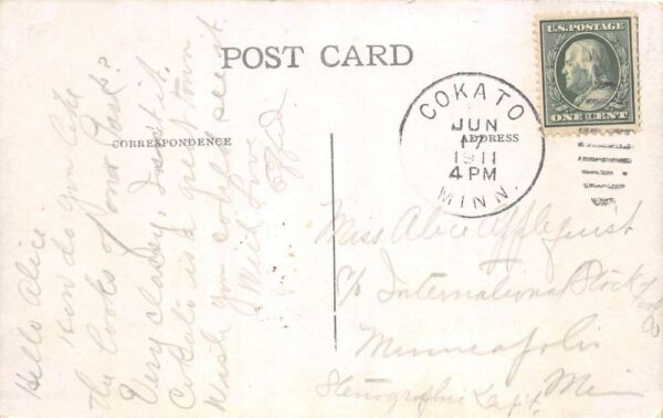 Cokato Minnesota Park Scenic View Vintage Postcard AA100696 - Image 2