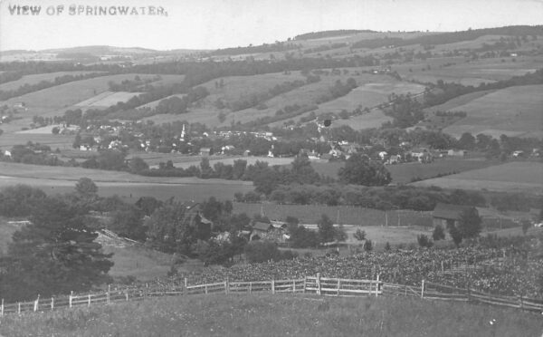 Springwater New Hampshire Birds Eye View Real Photo Vintage Postcard AA100727