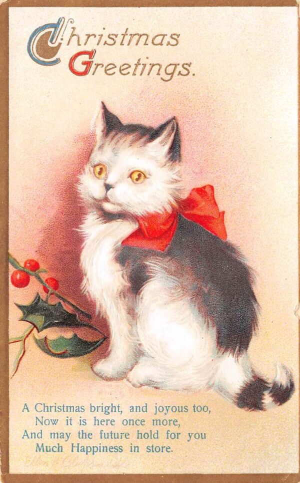 Christmas Greetings, Cat With Red Bow & Holly, Clapsaddle, Vintage PC U23138
