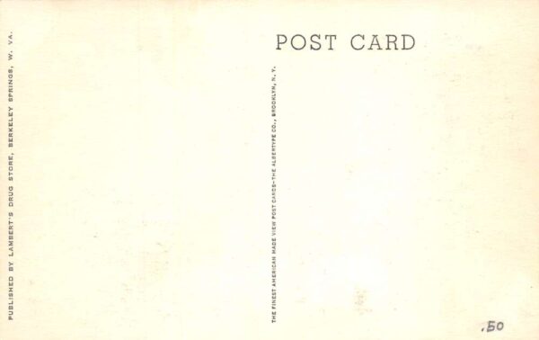 Berkeley Springs West Virginia The Washington Elm Vintage Postcard AA101040 - Image 2