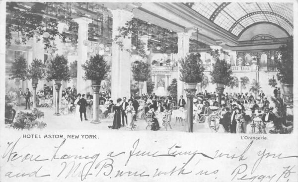 New York City Hotel Astor Palm Garden L'Orangerie Real Photo Postcard AA86643