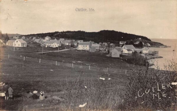 Cutler Maine Birds Eye View Real Photo Vintage Postcard AA86647