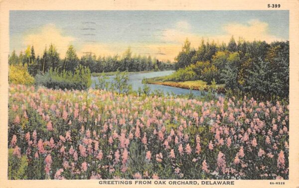 Oak Orchard Delaware Greetings From Oak Orchard, Color Linen, PC U20187