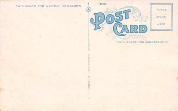 Southport Maine Pine Cliff, White Border, Vintage Postcard U20215 - Image 2