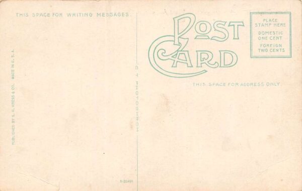 Asheville North Carolina New Concrete Bridge, Color Lithograph, Postcard U20379 - Image 2