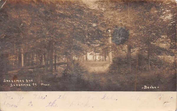 Skegemog Point Michigan Skegemog Avenue Scenic View Real Photo Postcard AA86865