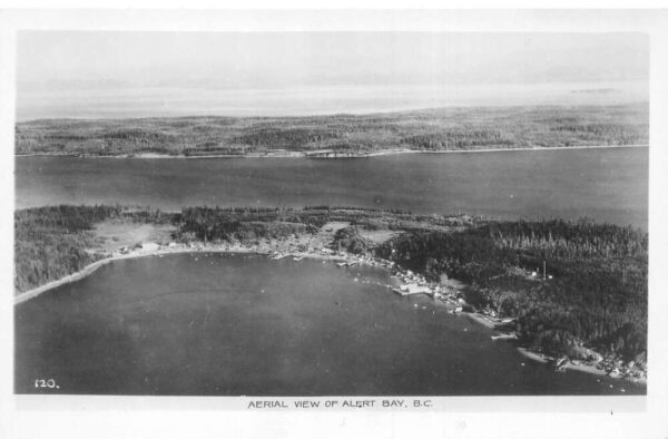 Alert Bay BC Canada Aerial View Real Photo Vintage Postcard AA86868
