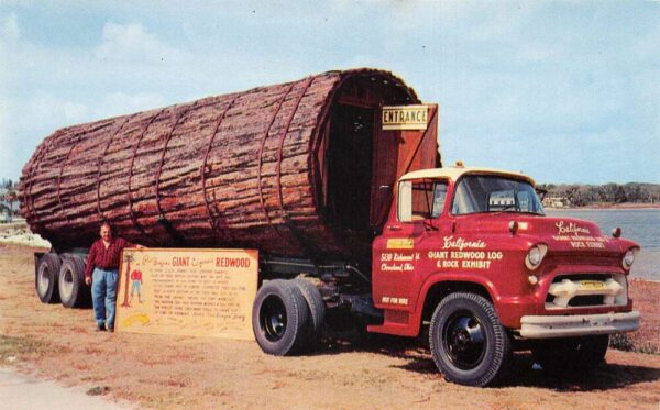 Cleveland Ohio Pual Bunyans California Redwood Vintage Postcard AA87043