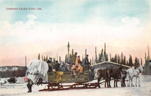 Fairbanks Alaska Valdes Stage Line Horse Sleigh Vintage Postcard AA87058