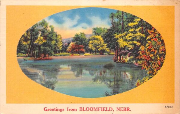 Bloomfield Nebraska Greetings Scenic View Vintage Postcard AA87063