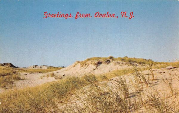 Avalon New Jersey Greetings Sand Dunes Vintage Postcard AA87070