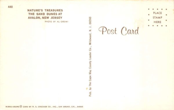 Avalon New Jersey Greetings Sand Dunes Vintage Postcard AA87070 - Image 2