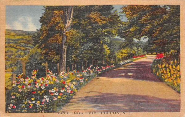 Elberon New Jersey Greetings Road Scenic View Vintage Postcard AA87071