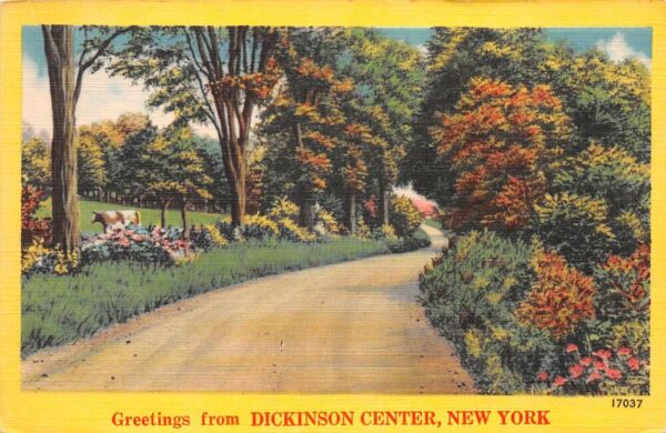 Dickinson Center New York Greetings Road Scenic View Vintage Postcard AA87082