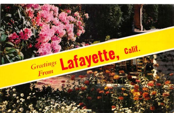 Lafayette California Greetings Garden Scene Vintage Postcard AA87211
