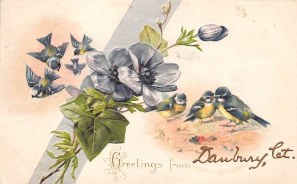 Danbury Connecticut Greetings Flowers and Birds Vintage Postcard AA87212