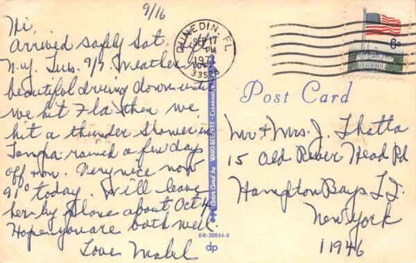 Dunedin Florida Greetings Roses Flowers Scenic View Postcard AA87215 - Image 2