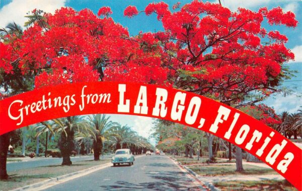 Largo Florida Greetings Tree Lined Street Scene Vintage Postcard AA87218