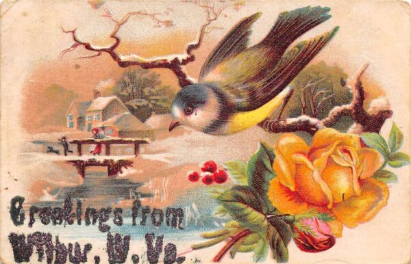 Wilbur West Virginia Greetings Bird and Yellow Rose Winter Glitter PC AA87225