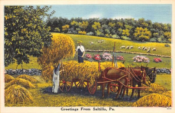Saltillo Pennsylvania Greetings Farming Scene Vintage Postcard AA87227
