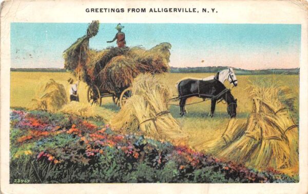 Alligerville New York Greetings Farming Scene Vintage Postcard AA87228