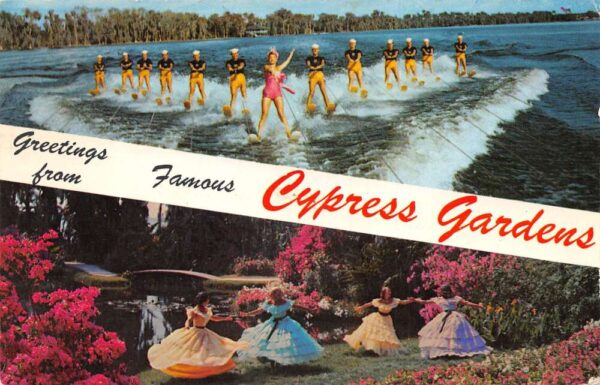 Cypress Gardens Florida Greetings Water Skiiing Vintage Postcard AA87238