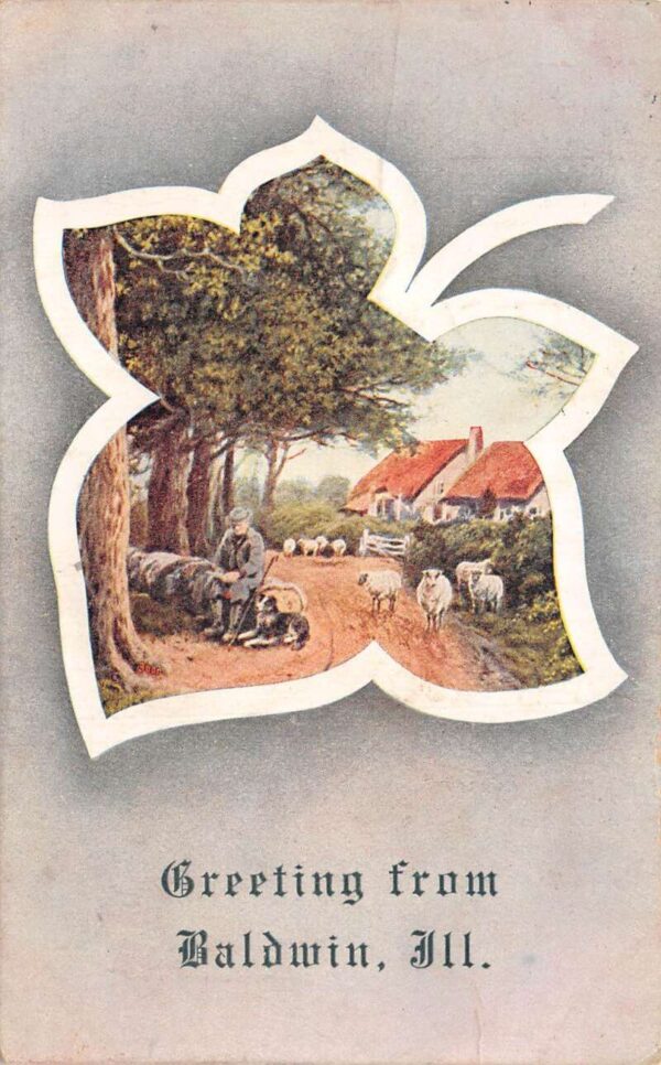 Baldwind Illinois Greetings Sheep Herder and Dog Vintage Postcard AA87241