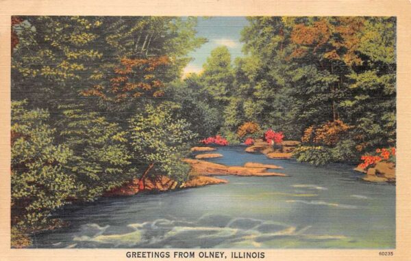 Olney Illinois Greetings River Scenic View Vintage Postcard AA87246