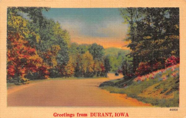 Durant Iowa Greetings Scenic View Vintage Postcard AA87309