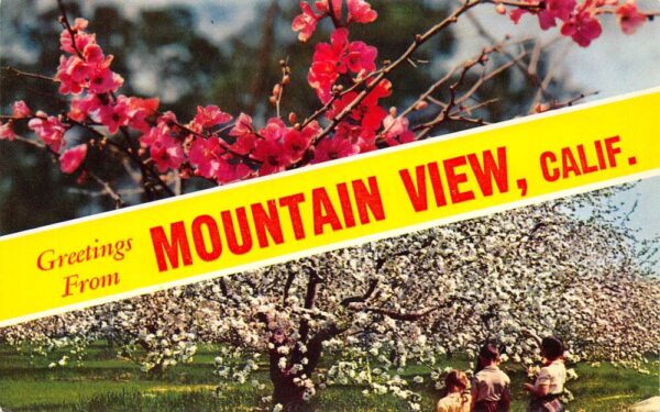 Mountain View California Greetings From Mountain View, Chrome, Postcard U20459