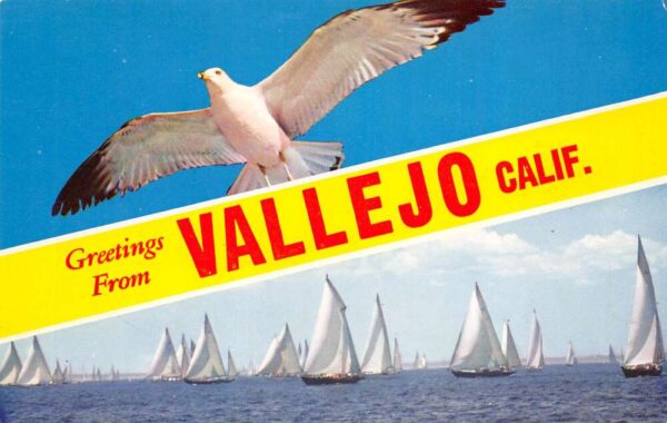 Vallejo California Greetings From Vallejo, Seagull, Chrome, Vintage PC U20472